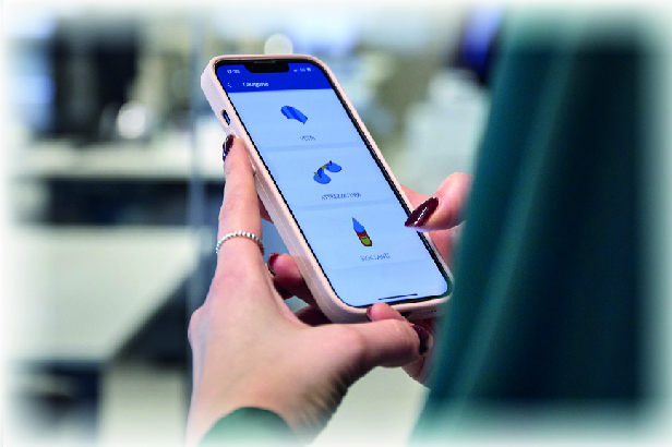 Portale Dira usato nell'ufficio IT