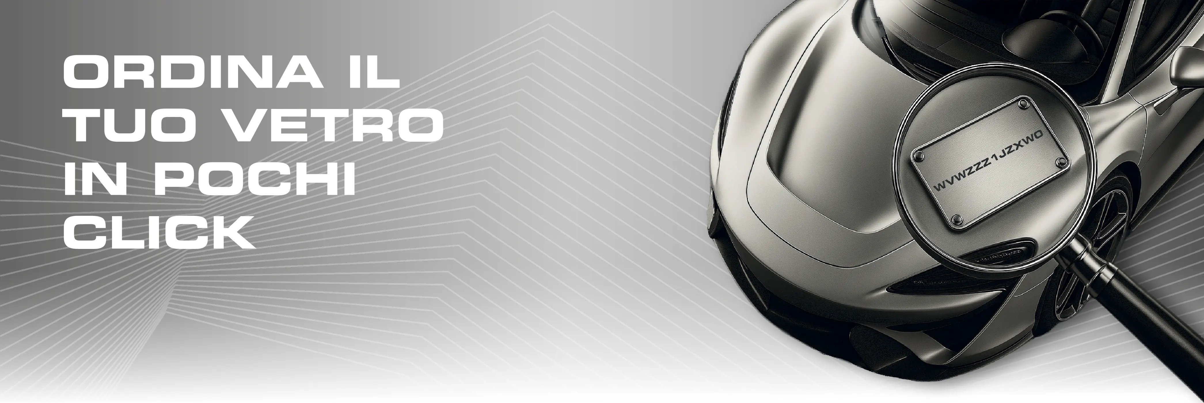 DIRA plate compatible windshield search software